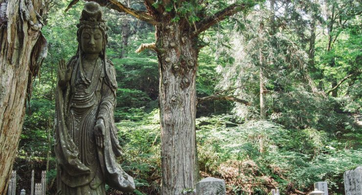 Tianzhu Charitable Foundation Postdoctoral Fellowship in East Asian Buddhism