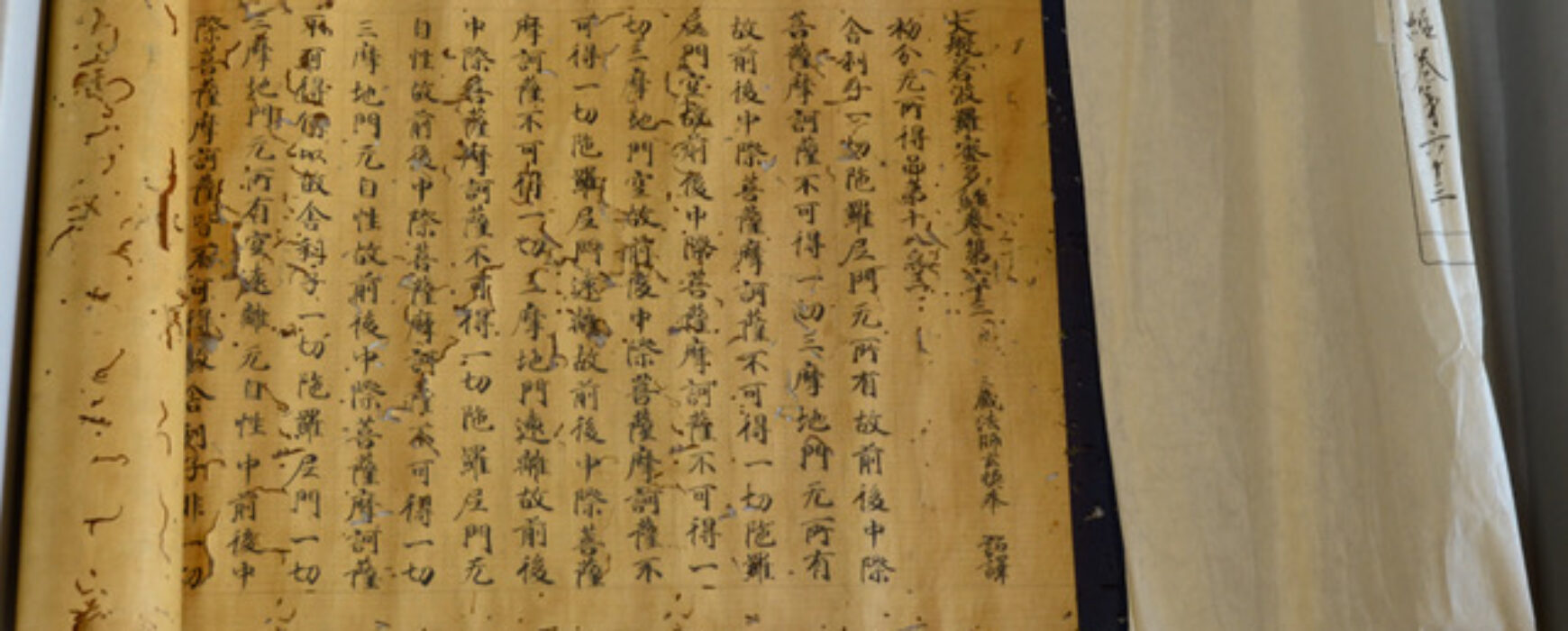佛教寫本文化：中亞和東亞佛教寫本的書寫和保存