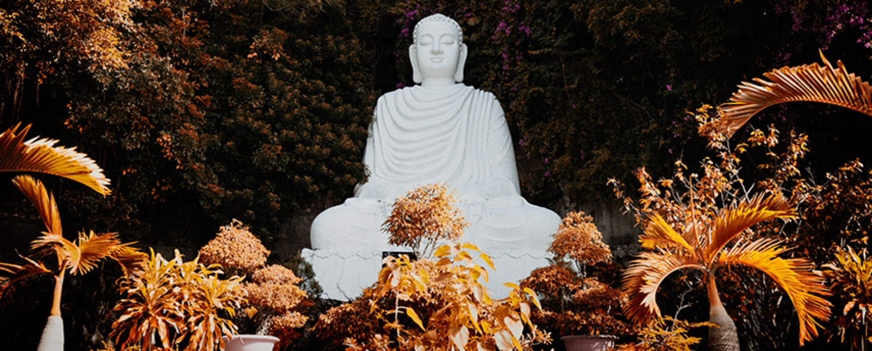 CFA: Sheng Yen Education Foundation Postdoctoral Fellowship in Chinese Buddhism at UBC