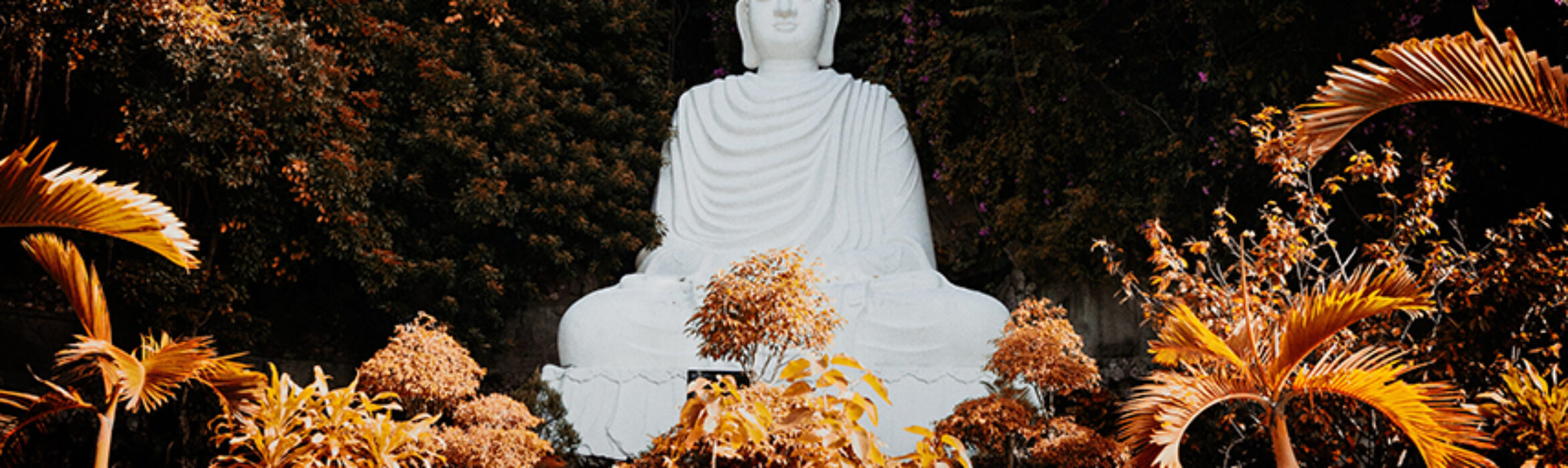 CFA: Sheng Yen Education Foundation Postdoctoral Fellowship in Chinese Buddhism at UBC