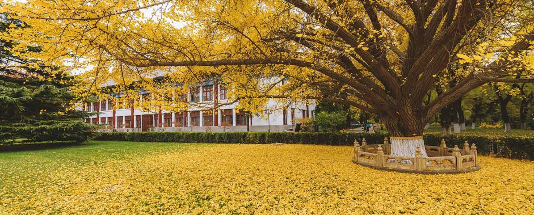 The Baiqian Initiative – Approaches and Practices – Regulated Use of AI as Translation Aids