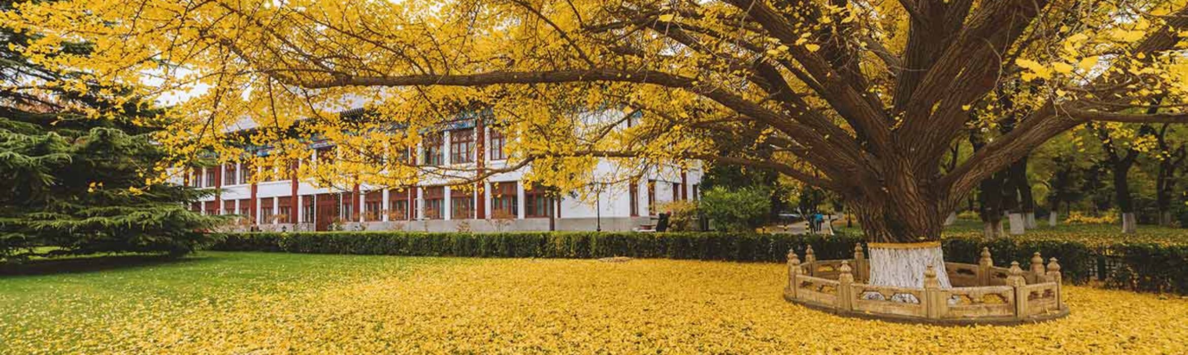 The Baiqian Initiative – Approaches and Practices – Cloud-Based Translation Seminars 雲譯場