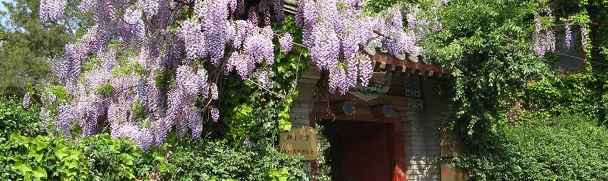 The Baiqian Initiative – Main Components