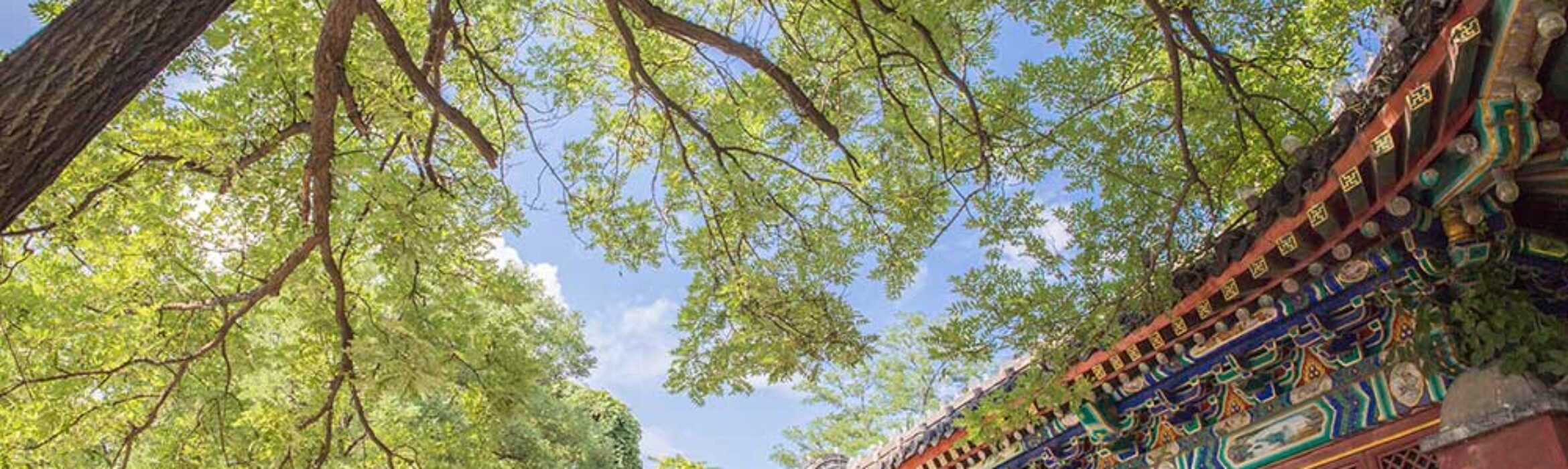 The Baiqian Initiative – Publication Plan – Open-Access Publishing Initiative