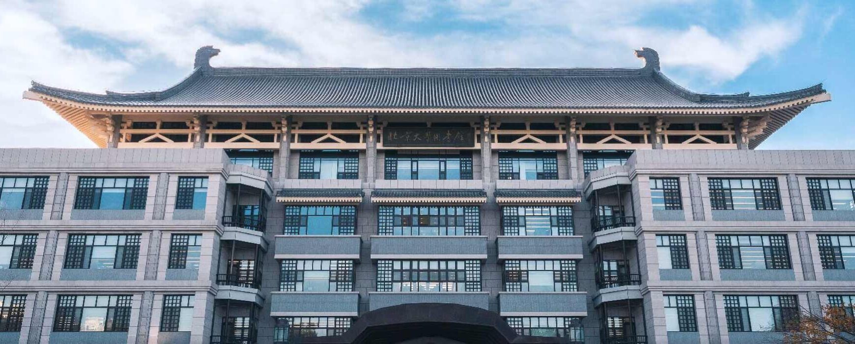 The Baiqian Initiative – Baiqian Database – Long-Term Vision