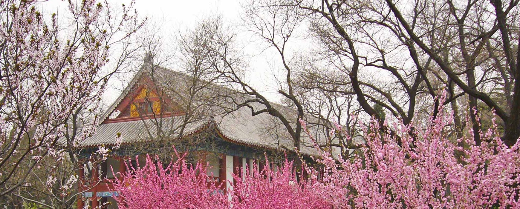 The Baiqian Initiative – Main Components