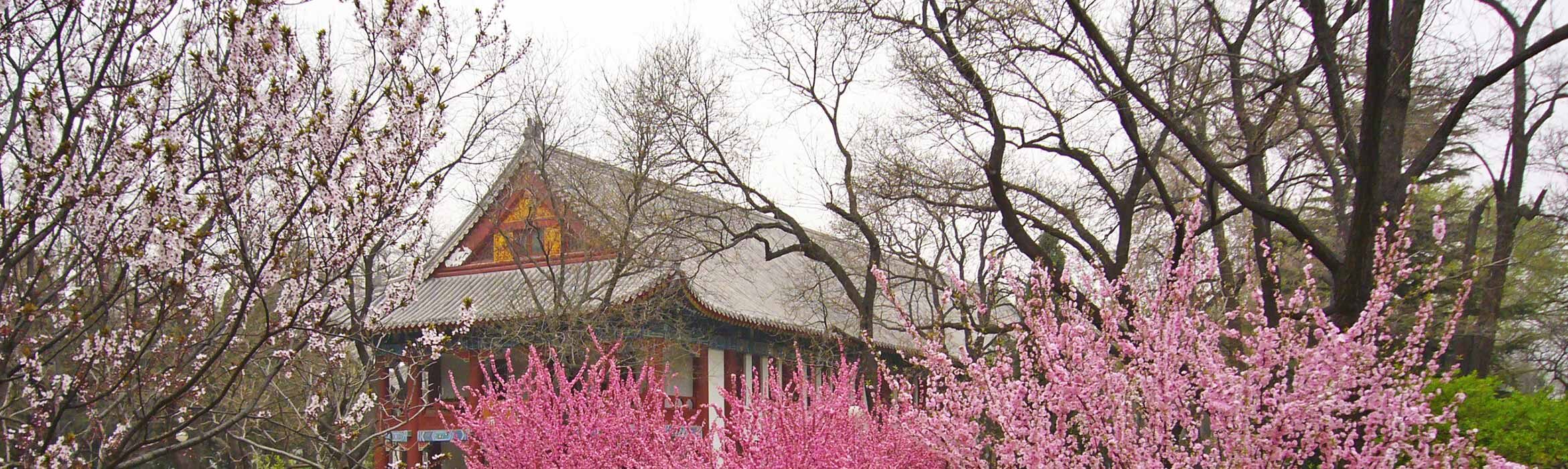 The Baiqian Initiative – Main Components