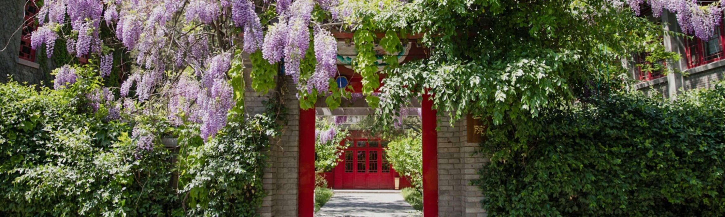 The Inaugural World Young Sinologists Summer Institute