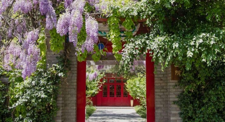 The Inaugural World Young Sinologists Summer Institute